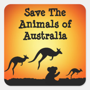 Sticker Carré Sauvez les animaux d'Australie