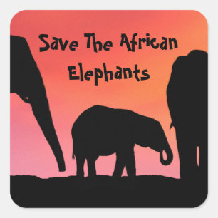Sticker Carré Sauvez les éléphants africains
