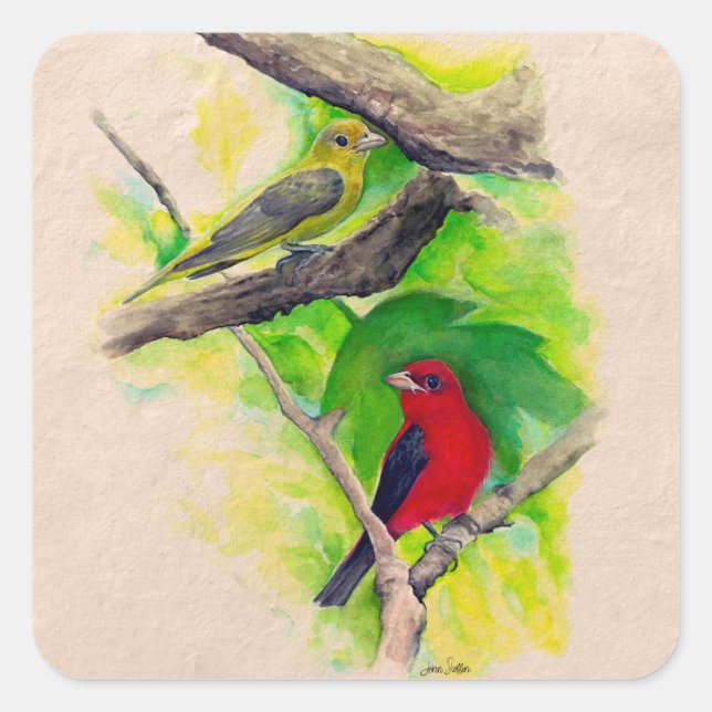 Sticker Carré Scarlet Tanagers Peinture Carré (Devant)