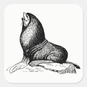 Sticker Carré Sceau
