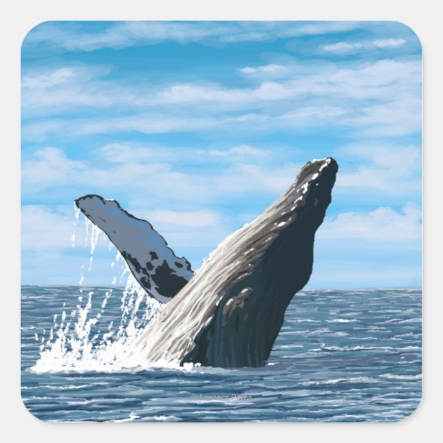 Sticker Carré Scène de baleines à bosse du New Hampshire (Devant)