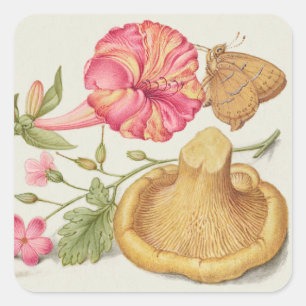 Sticker Carré Scène de jardin avec fleurs, papillon et champigno