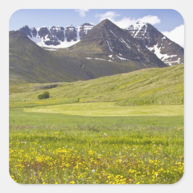 Sticker Carré Scenic landscape of Svarfadardalur valley (Devant)