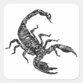 Sticker Carré Scorpion