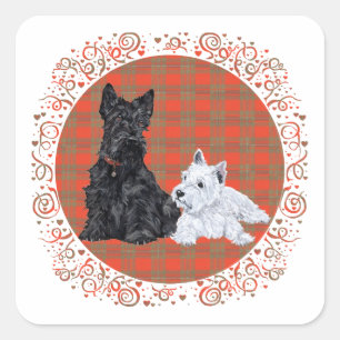 Sticker Carré Scottie Adulte & chiot Westie