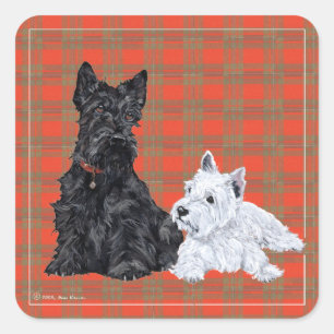 Sticker Carré Scottie Adulte & chiot Westie