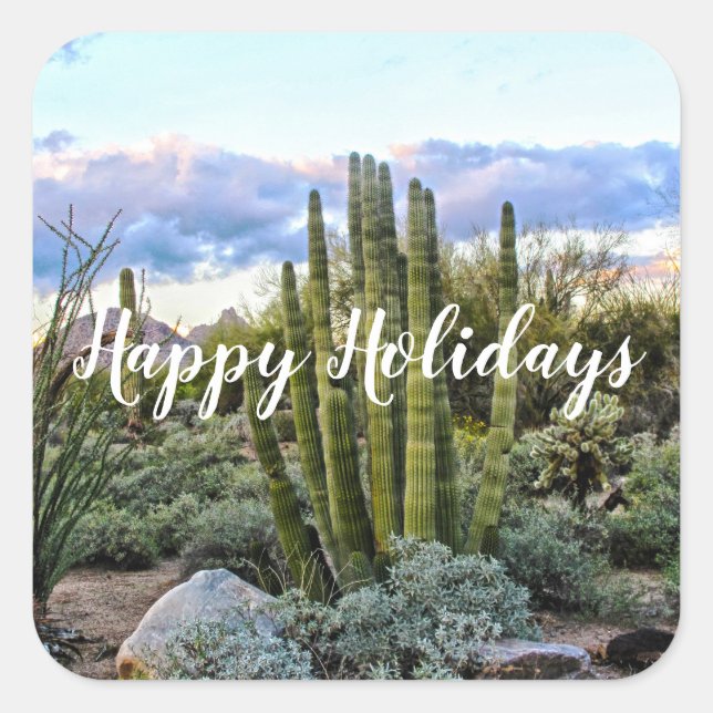Sticker Carré Scottsdale Succulent coucher du soleil, Joyeuses v (Devant)