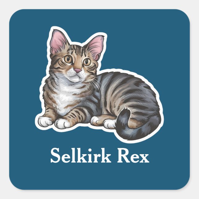 Sticker Carré Selkirk Rex (Devant)