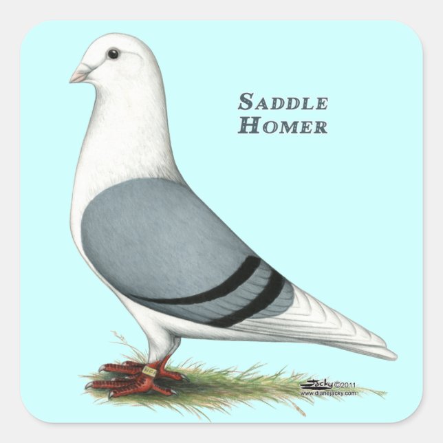 Sticker Carré Selle bleue Homer (Devant)