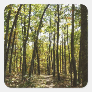 Sticker Carré Sentier des Appalaches en octobre à Shenandoah