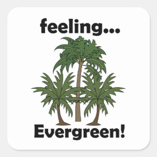 Sticker Carré Sentiment de palmier Toujours vert Tropical Drôle