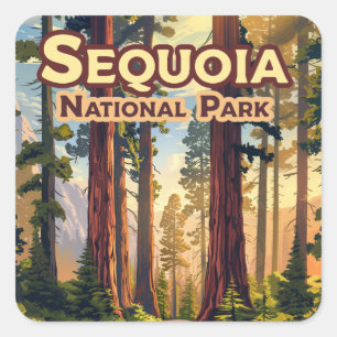 Sticker Carré Sequoia National Park California Tree Retro
