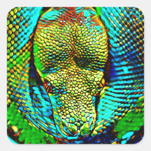 Sticker Carré Serpent arc-en-ciel