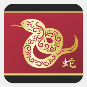Sticker Carré Serpent chinois doré orange sur noir et rouge