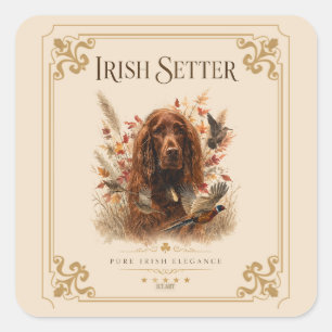 Sticker Carré Setter irlandais