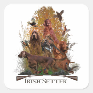 Sticker Carré Setter irlandais avec faisan