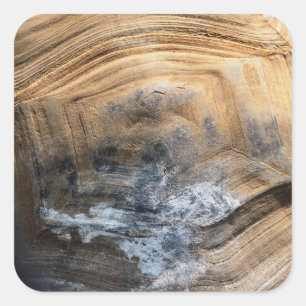 STICKER CARRÉ SHELL GÉANT TORTOISE