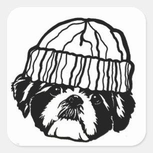 Sticker Carré shia tzu goon