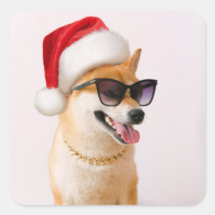Sticker Carré Shiba Inu dog