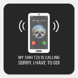 Sticker Carré Shih Tzu Lover | Drôle Chih Tzu Chien