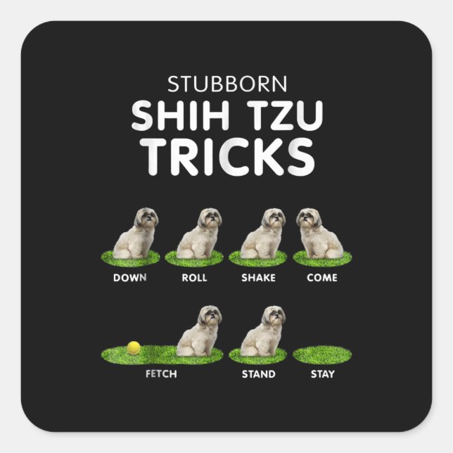 Sticker Carré Shih Tzu Lover | Funny Shih Tzu Trick Dog Love (Devant)