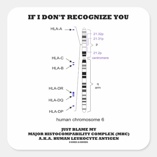 Sticker Carré Si je ne vous reconnais pas, blâmez simplement ma  (Devant)