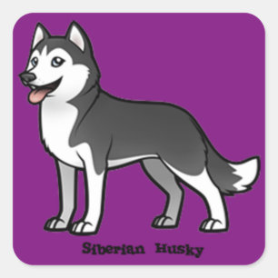 Sticker Carré Sibérien Husky