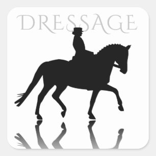 Sticker Carré Silhouette Cheval Dressage avec Réflexion
