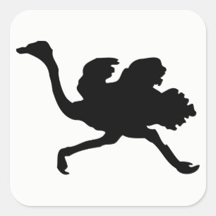 Sticker Carré Silhouette d'autruche