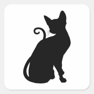 Sticker Carré Silhouette de chat