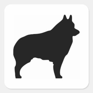 Sticker Carré Silhouette de chien de Schipperke