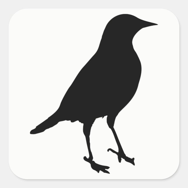 Sticker Carré Silhouette des oiseaux (Devant)