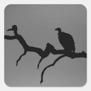 Sticker Carré Silhouette vautour