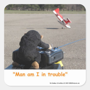 Sticker Carré Singe animal de compagnie écrasant Dads RC Plane