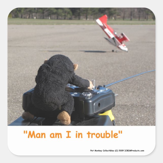 Sticker Carré Singe animal de compagnie écrasant Dads RC Plane (Devant)