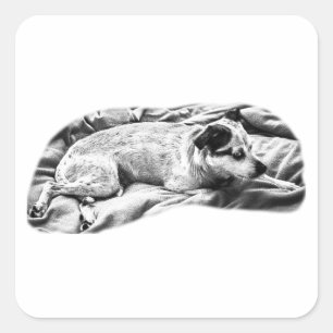Sticker Carré Snoozer latéral avec teintes plumes