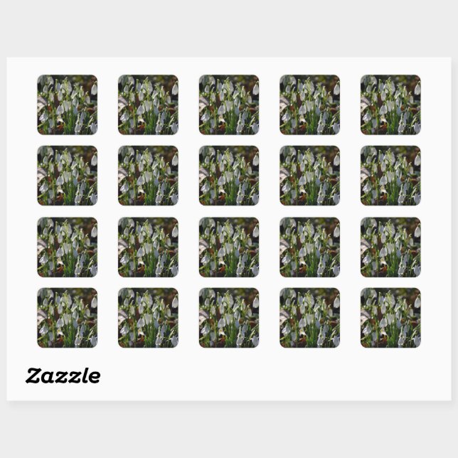 Sticker Carré Snowdrops (Feuille)