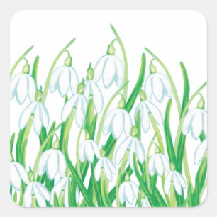 Sticker Carré Snowdrops de printemps
