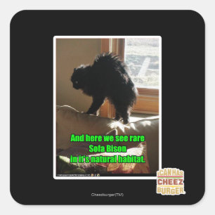 Sticker Carré Sofa Bison