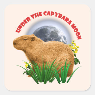 Sticker Carré Sous la Lune du Capybara Animal Mignon