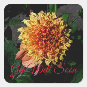Sticker Carré Soyez bien Bientôt Dahlia Sandia Brocade #1