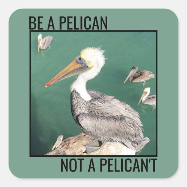 Sticker Carré Soyez pélican, pas pélican (Devant)