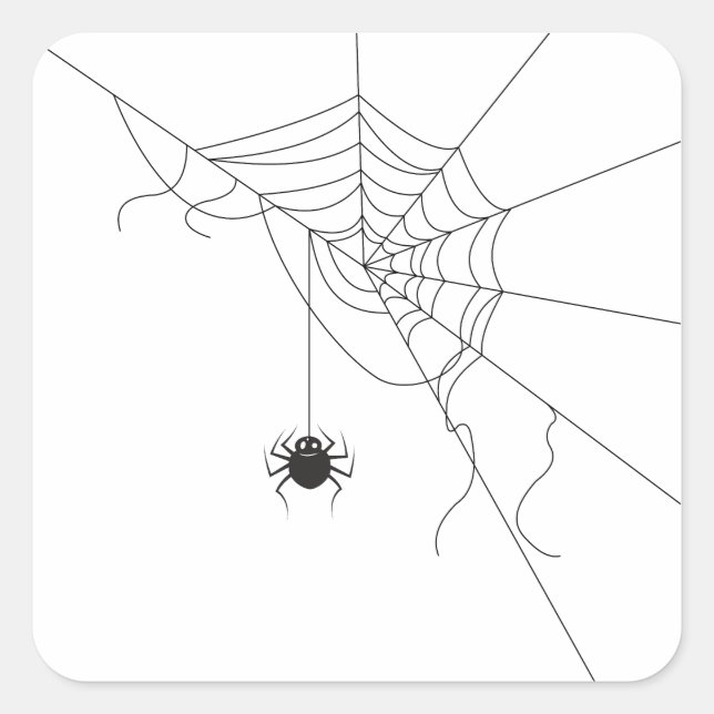 Sticker Carré spider web (Devant)