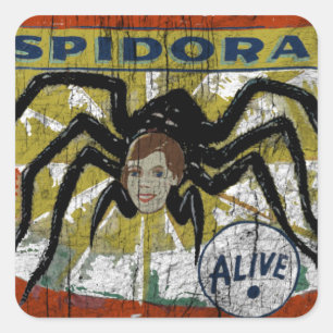 Sticker Carré Spidora