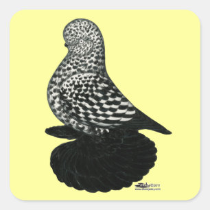 Sticker Carré Splash Muffy Tumbler Pigeon 2