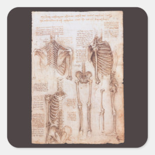Sticker Carré Squelette d'anatomie humaine de Léonard de Vinci O