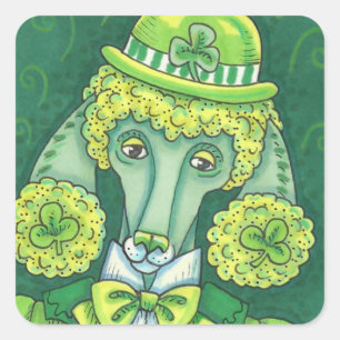 STICKER CARRÉ ST. PADDY'S GREEN FRANÇAIS POODLE IRLANDAIS, CHIEN