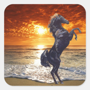 Sticker Carré Stallion noir