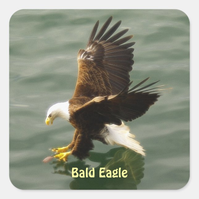 Sticker Carré Sticleur Motivationnel Eagle de pêche (Devant)