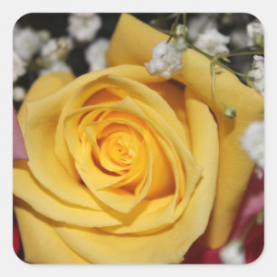 Sticker Carré Sticule Pétale Rose Jaune